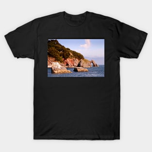 Arched Cliff T-Shirt